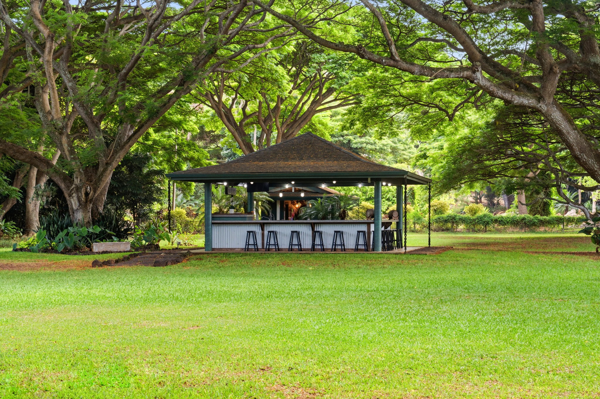 5311 A Hauaala Road Kapaa, HI 96746 - Photo 23 of 30 a view of a swimming pool with lawn chairs under an umbrella