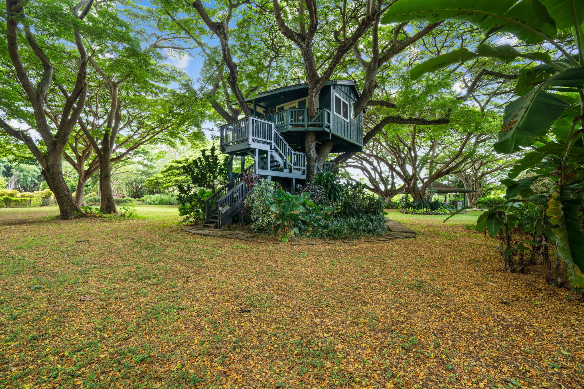 5311 A Hauaala Road Kapaa, HI 96746 - Photo 25 of 30 a view of outdoor space and yard