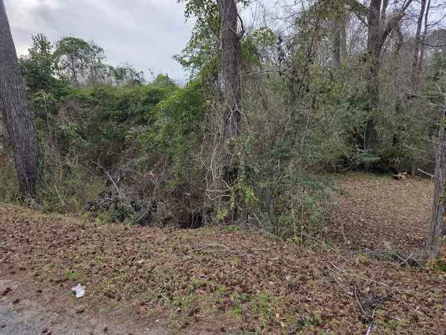 $89,500 | 0 Mitten Road, Moncks Corner, SC 29461