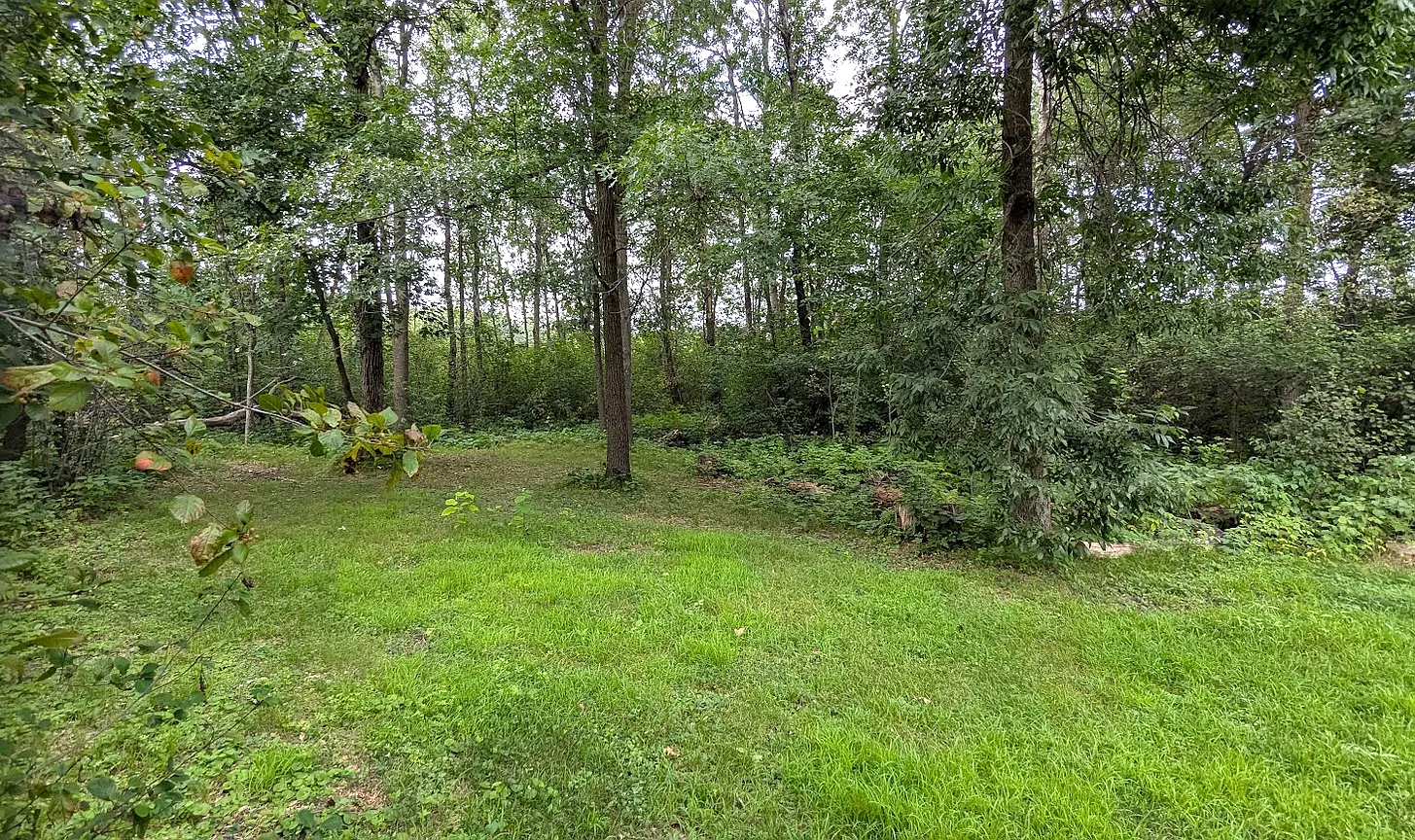 30224 119th Street Northwest Princeton, MN 55371 - Photo 17 of 20