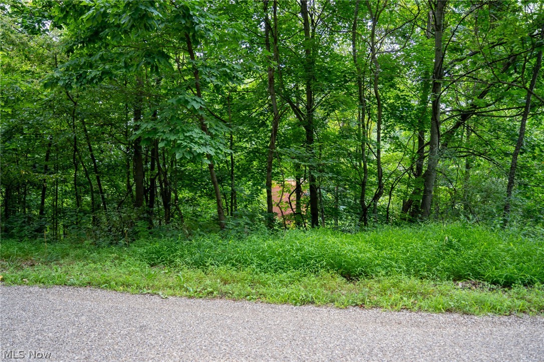 Windy Ridge Dennison, OH 44621 - Photo 36 of 50 Gallery Image 36