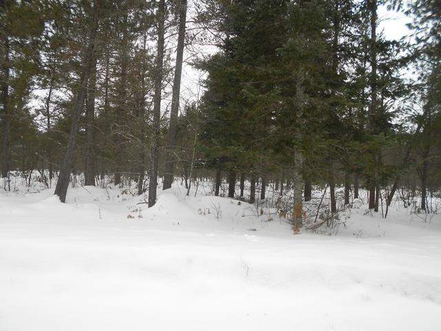 On On Tamarack Ridge Road Conover, WI 54519 - Photo 3 of 3 Gallery Image 3