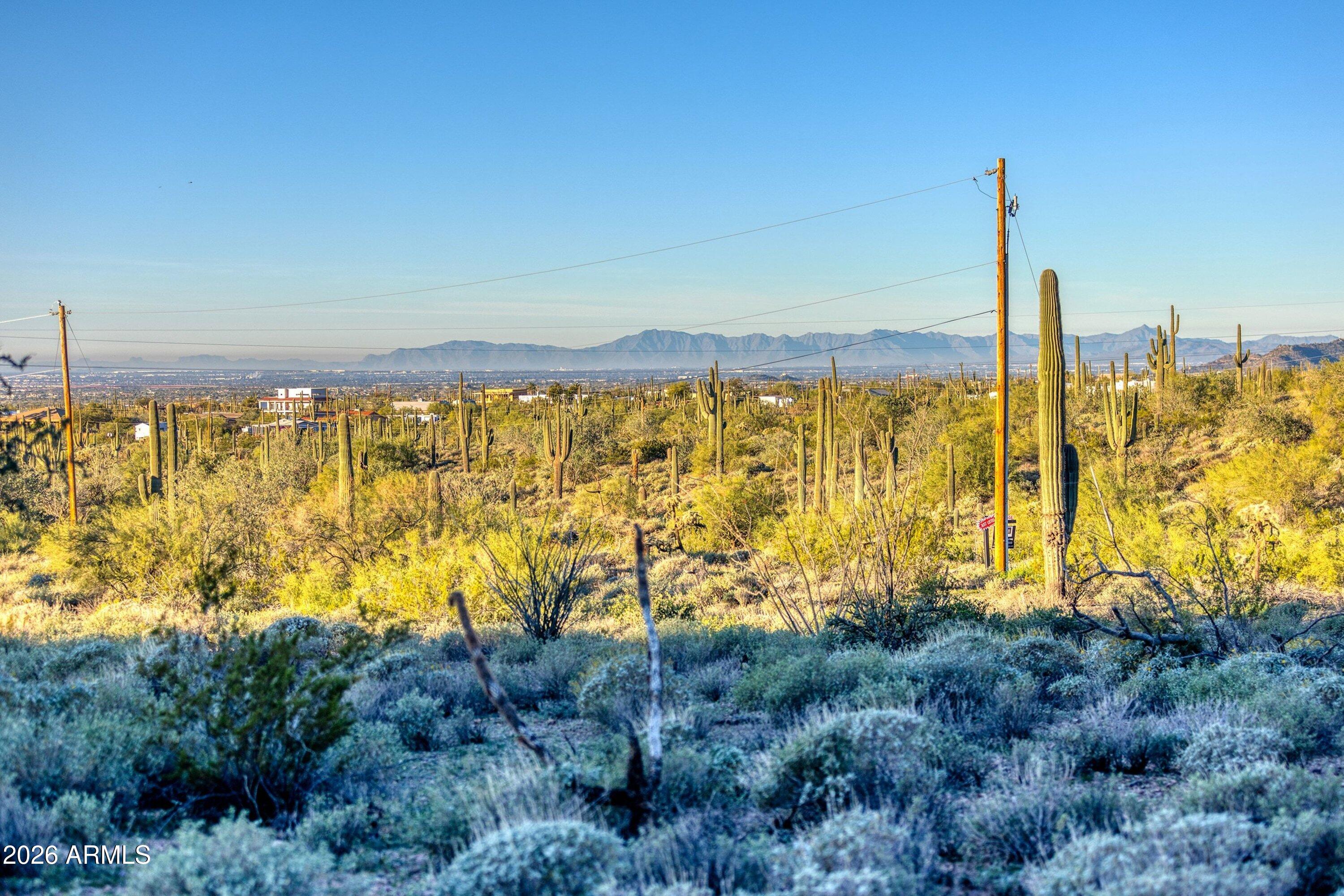 9675 North Bowman Road Apache Junction, AZ 85119 - Photo 11 of 25 Saguaros on Property
