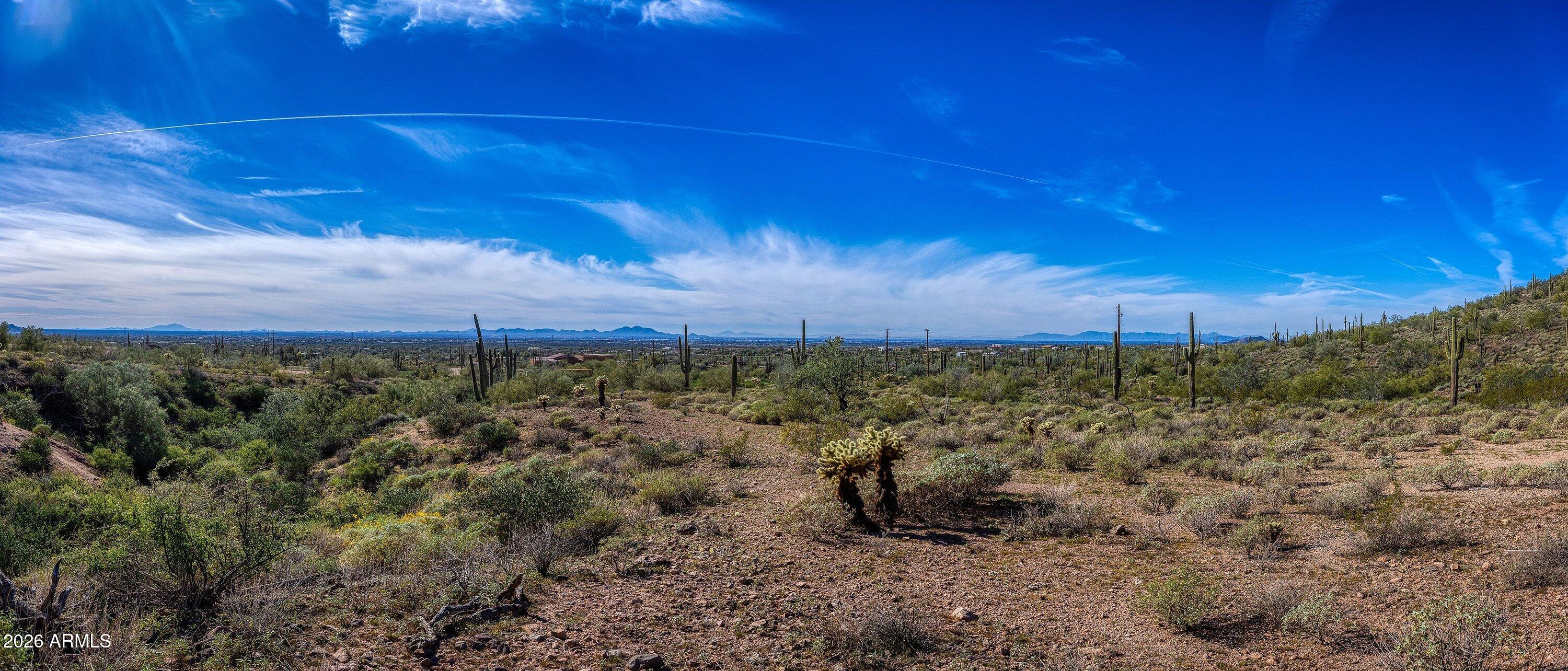 9675 North Bowman Road Apache Junction, AZ 85119 - Photo 15 of 25 Natural Vegetation