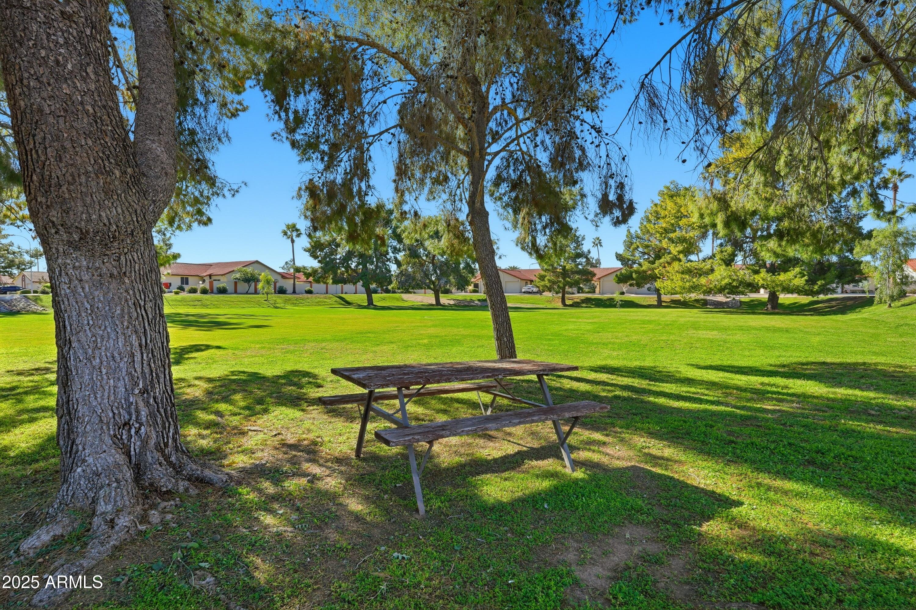 542 South Higley Road, Unit 90 Mesa, AZ 85206 - Photo 24 of 25 Community Views