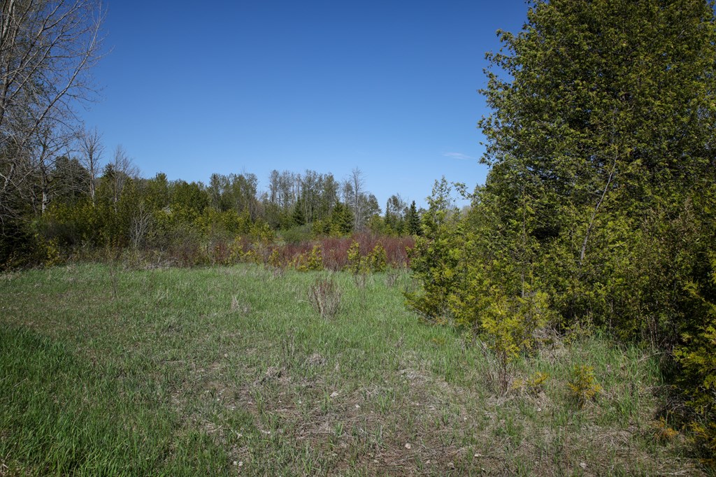 Lot 8 Golf View Road Sturgeon Bay, WI 54235 - Photo 7 of 38