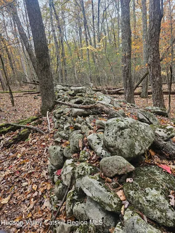 a view of city and mountain