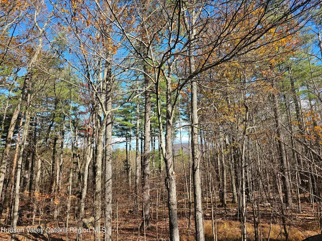 $65,000 | Lot 5 Storks Nest Road, Round Top, NY 12473