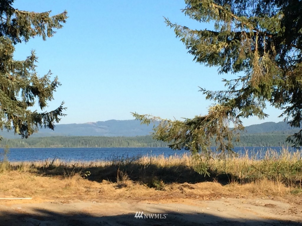 18504 Sandridge Road Long Beach, WA 98631 - Photo 3 of 5 Gallery Image 3