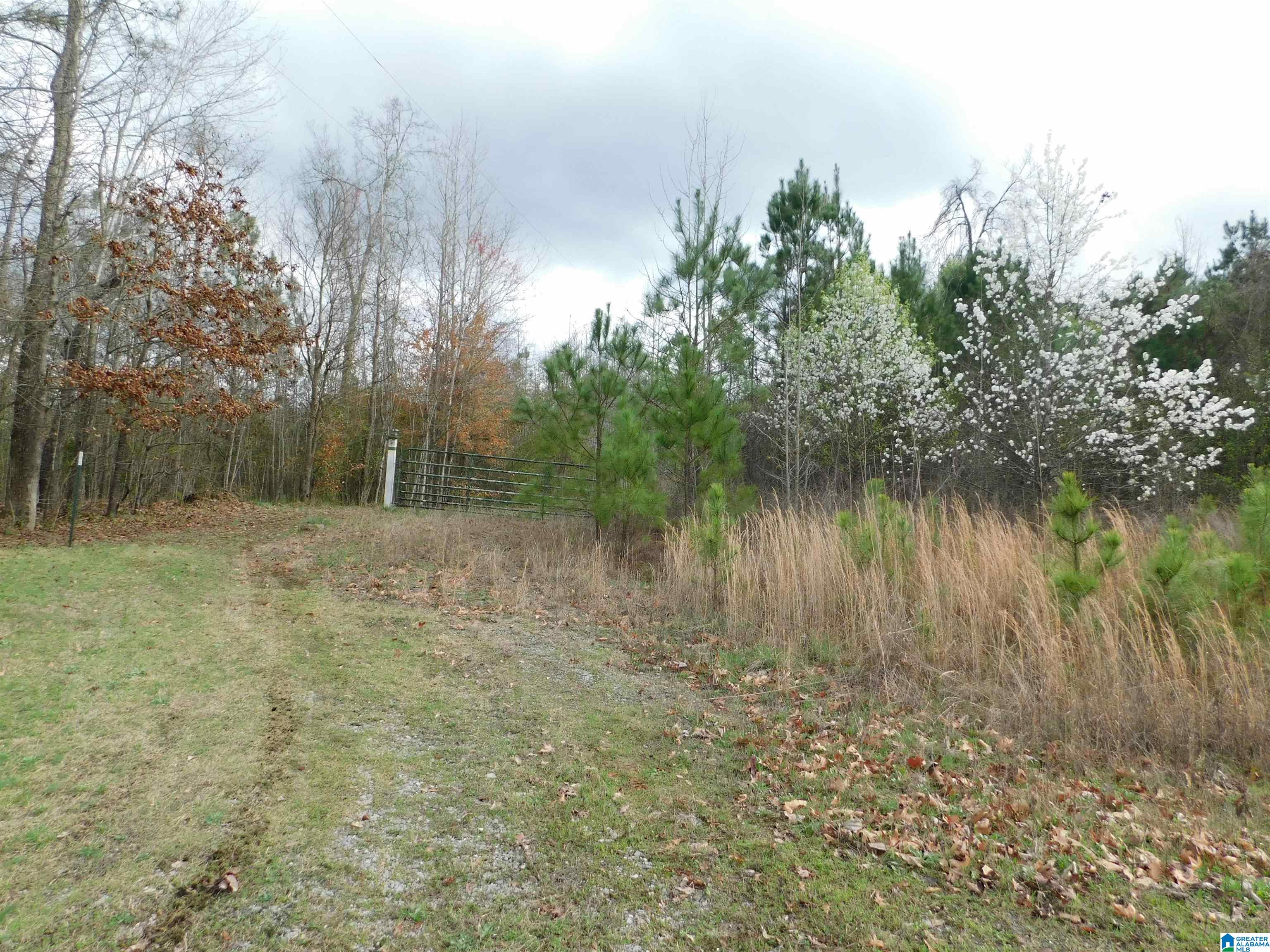 0 Lock 1 Road, Unit 2 Ashville, AL 35953 - Photo 7 of 13
