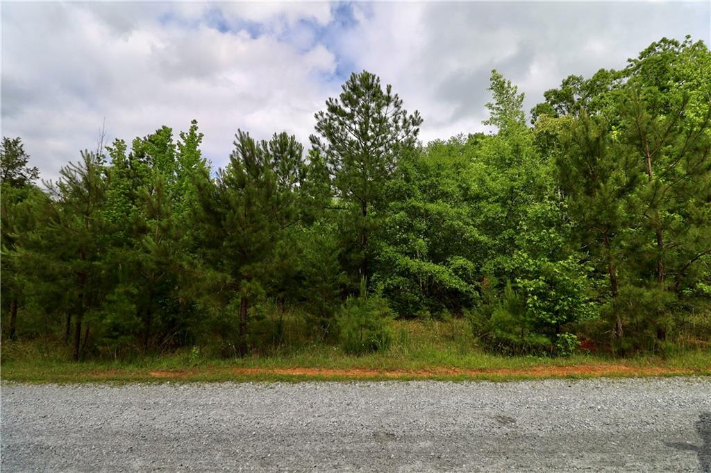 0 Millstone Creek Road Elberton, GA 30635 - Photo 15 of 28