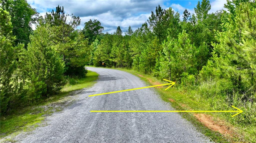 0 Millstone Creek Road Elberton, GA 30635 - Photo 8 of 28