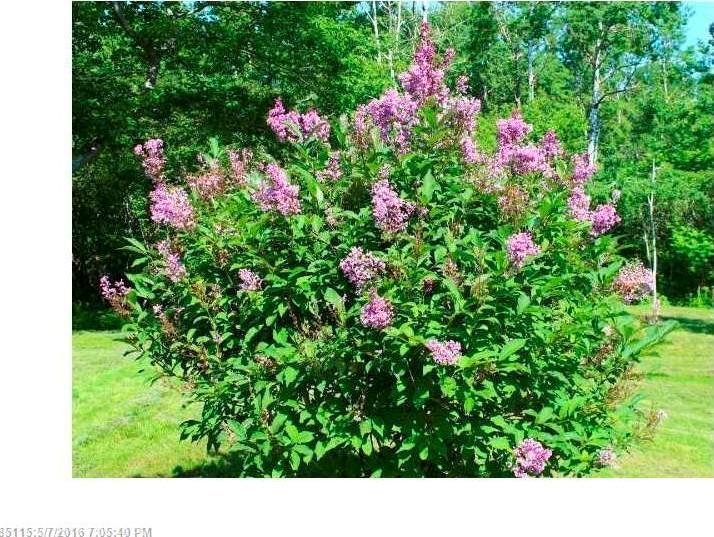 1830 Castine Road Penobscot, ME 04476 - Photo 12 of 22 Photo