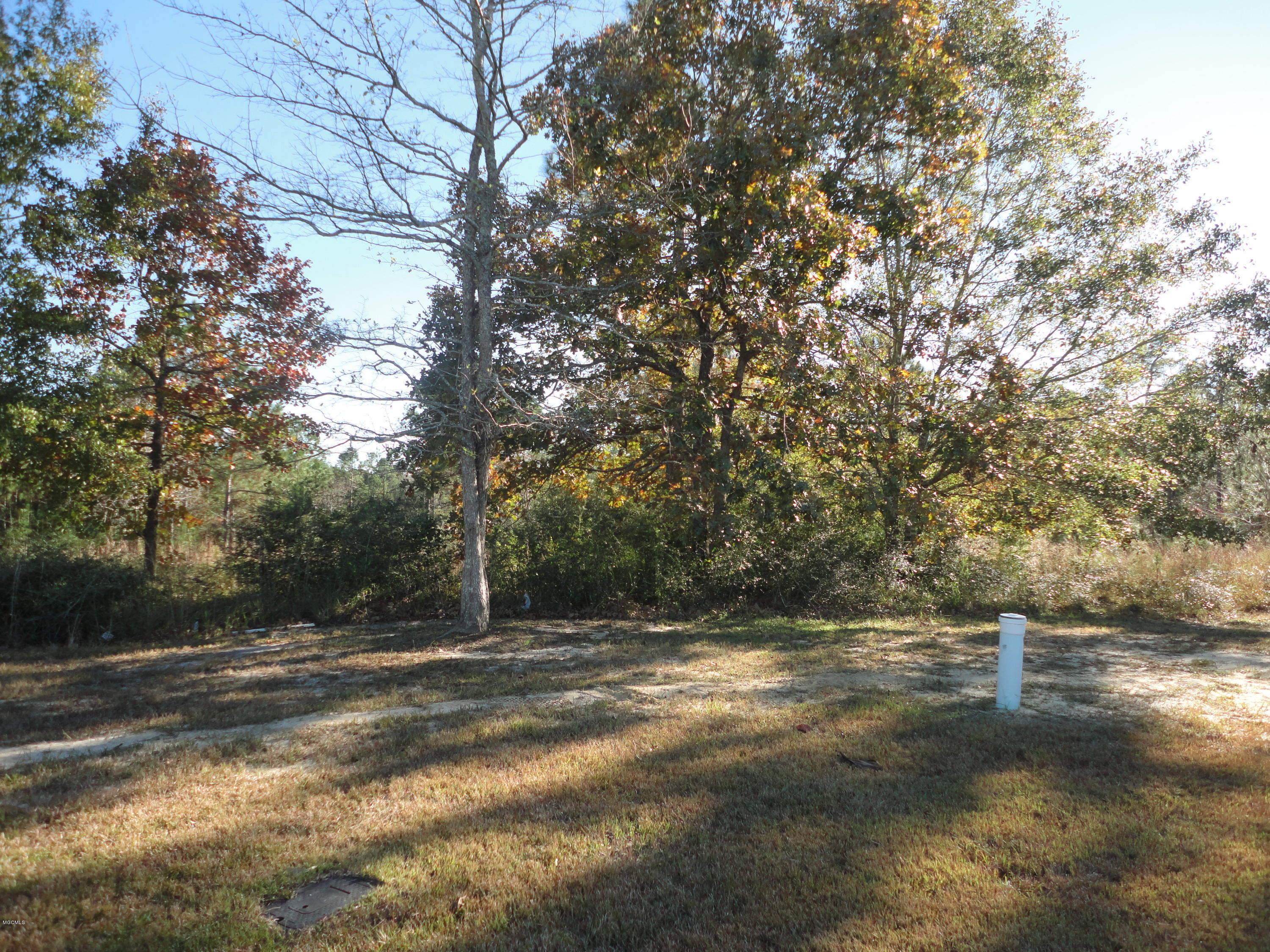 Calloway Cove Gautier, MS 39553 - Photo 2 of 5 DSC03681