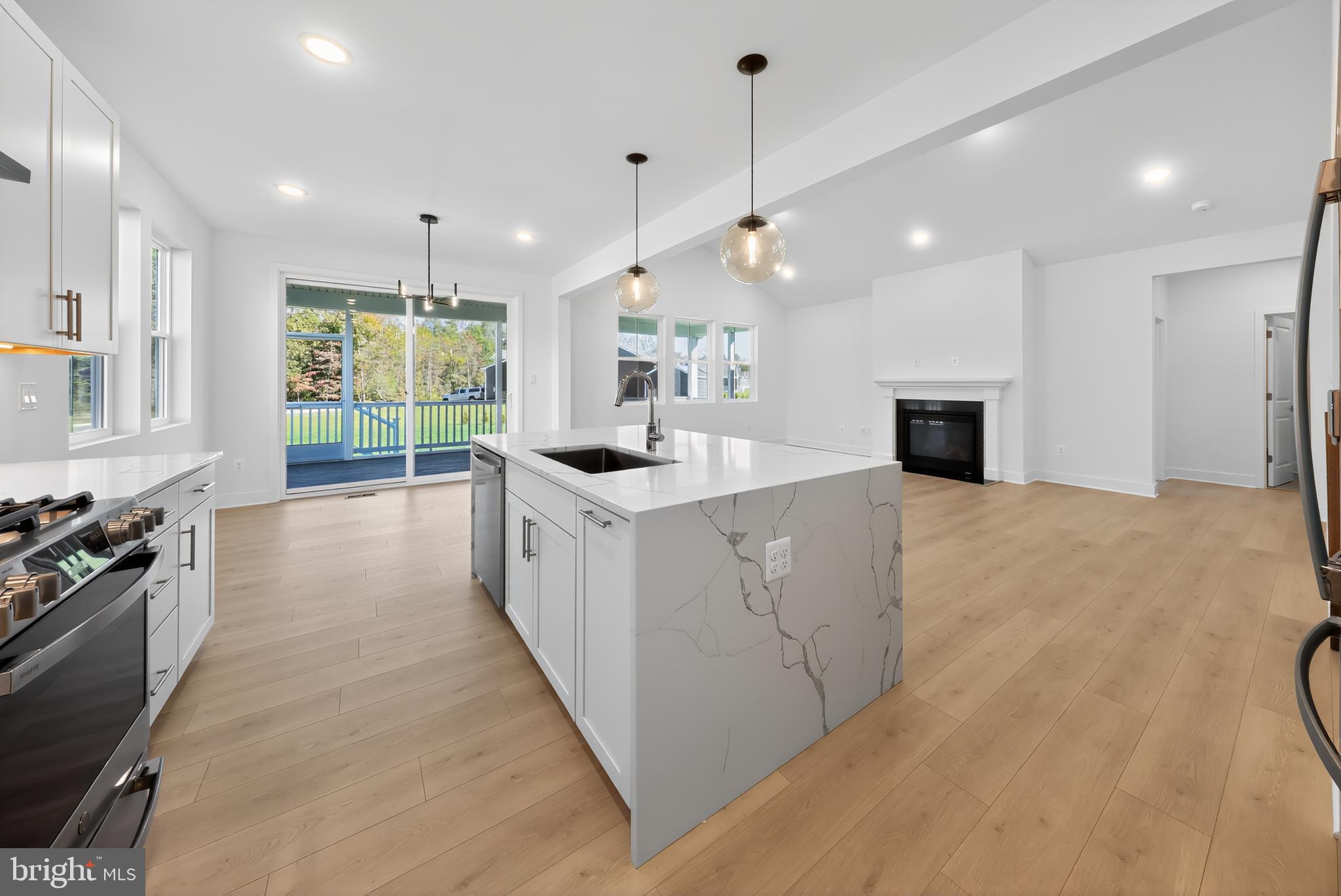 169 North Rdg Brk Drive Felton, DE 19943 - Photo 8 of 24 a large kitchen with kitchen island a large counter top a sink stainless steel appliances and cabinets