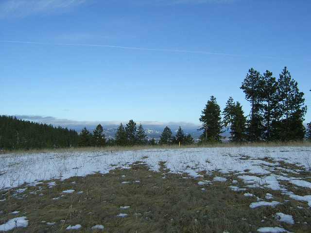 8000 South Jackson Road Mica, WA 99023 - Photo 3 of 7 Gallery Image 3