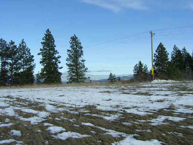 8000 South Jackson Road Mica, WA 99023 - Photo 4 of 7 Gallery Image 4