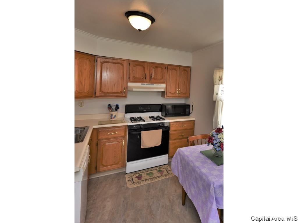2436 East Wilshire Road Springfield, IL 62703 - Photo 9 of 35