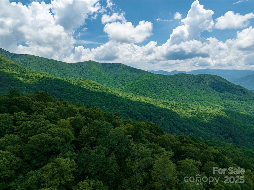 99999 Parris Branch Road, Unit 24A Sylva, NC 28779 - Photo 11 of 12 a view of a big yard with lots of green space