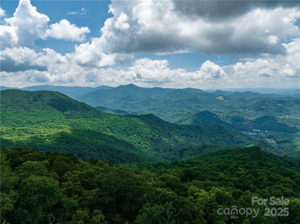 99999 Parris Branch Road, Unit 24A Sylva, NC 28779 - Photo 12 of 12 a view of a lake in middle of the green field