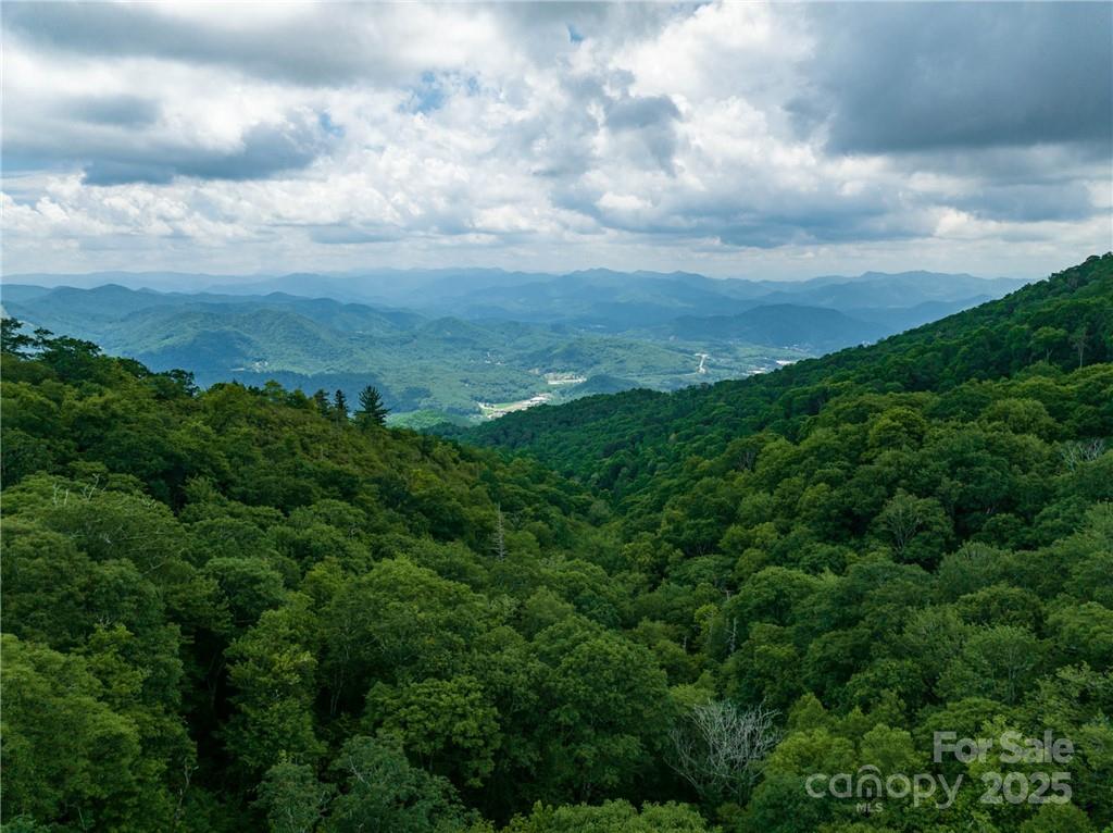 99999 Parris Branch Road, Unit 24A Sylva, NC 28779 - Photo 4 of 12 a view of a big yard with lots of bushes