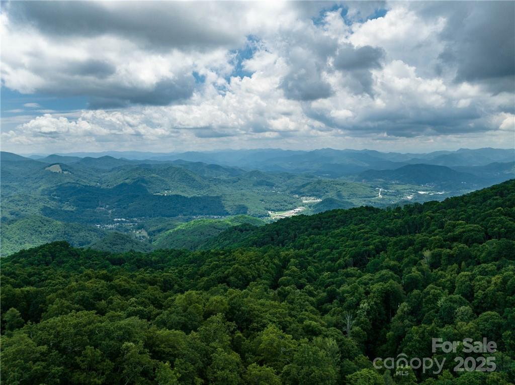 99999 Parris Branch Road, Unit 24A Sylva, NC 28779 - Photo 5 of 12 a view of city and green yard