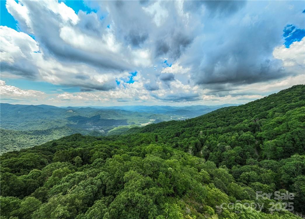99999 Parris Branch Road, Unit 24A Sylva, NC 28779 - Photo 6 of 12 a view of a big yard with lots of green space