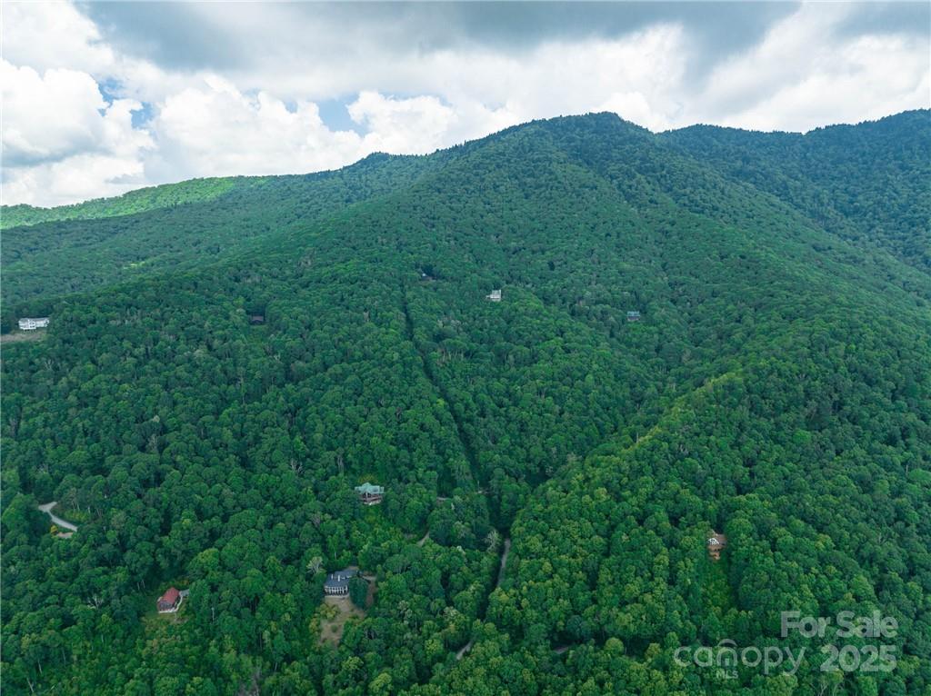 99999 Parris Branch Road, Unit 24A Sylva, NC 28779 - Photo 7 of 12 a view of a lush green space with sea