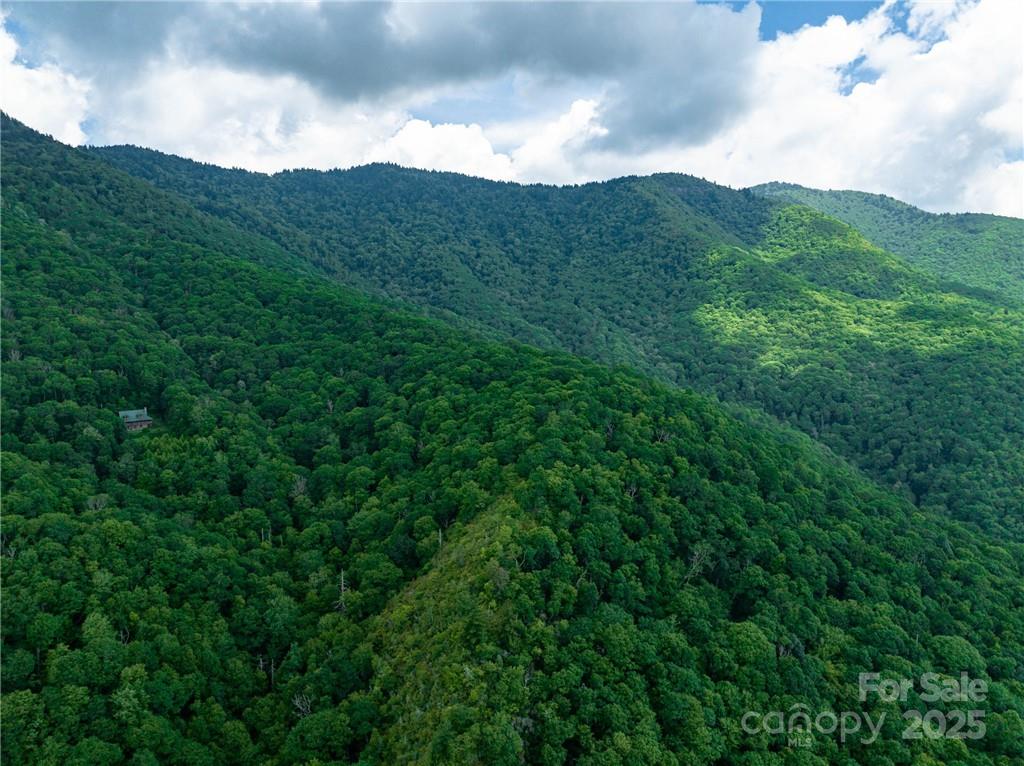 99999 Parris Branch Road, Unit 24A Sylva, NC 28779 - Photo 9 of 12 a view of a mountain range with lush green forest