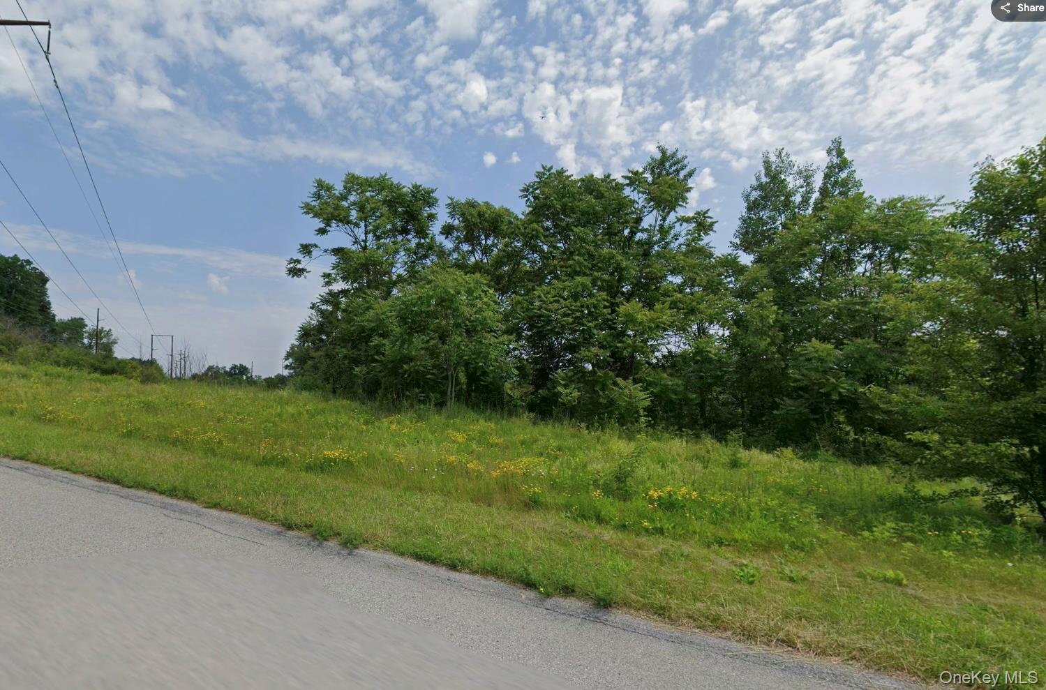 Frost Hill Road Pleasant Valley, NY 12569 - Photo 2 of 3