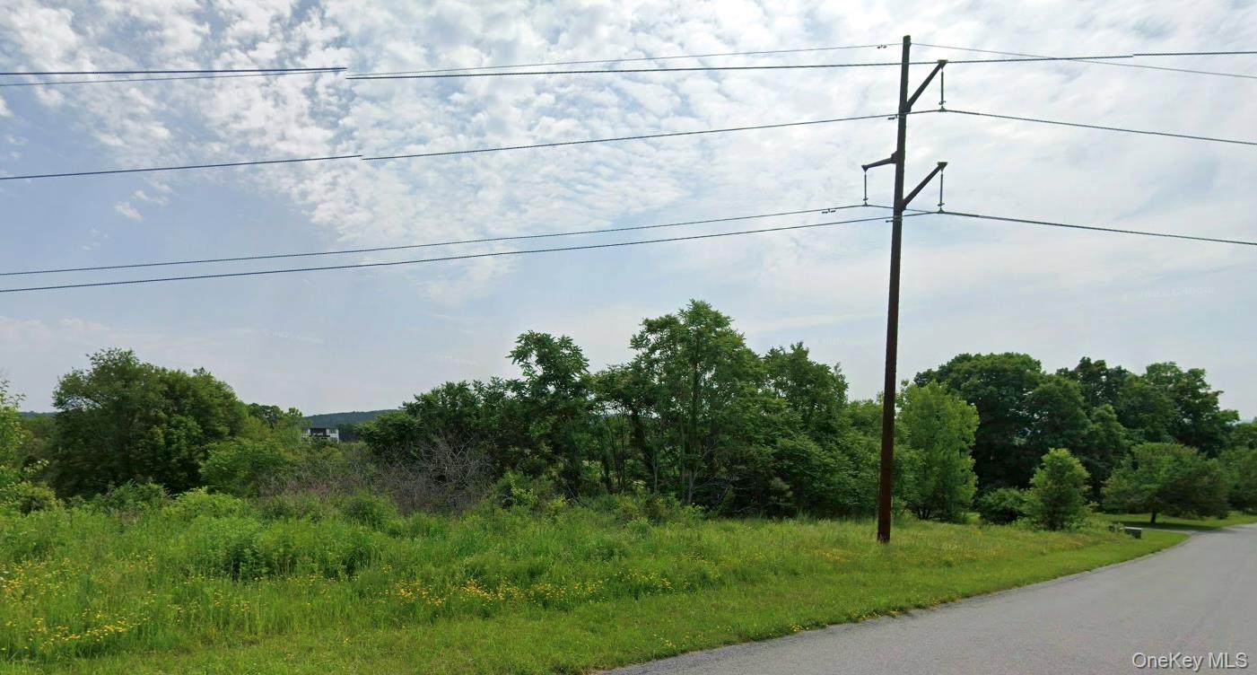 Frost Hill Road Pleasant Valley, NY 12569 - Photo 3 of 3