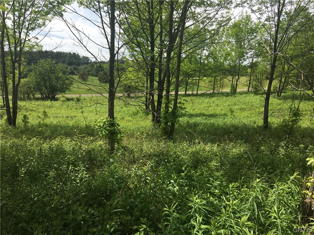 0 Deminuk Road Boonville, NY 13309 - Photo 19 of 21 Gallery Image 19