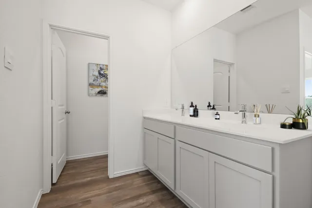 a bathroom with a sink double vanity and a mirror