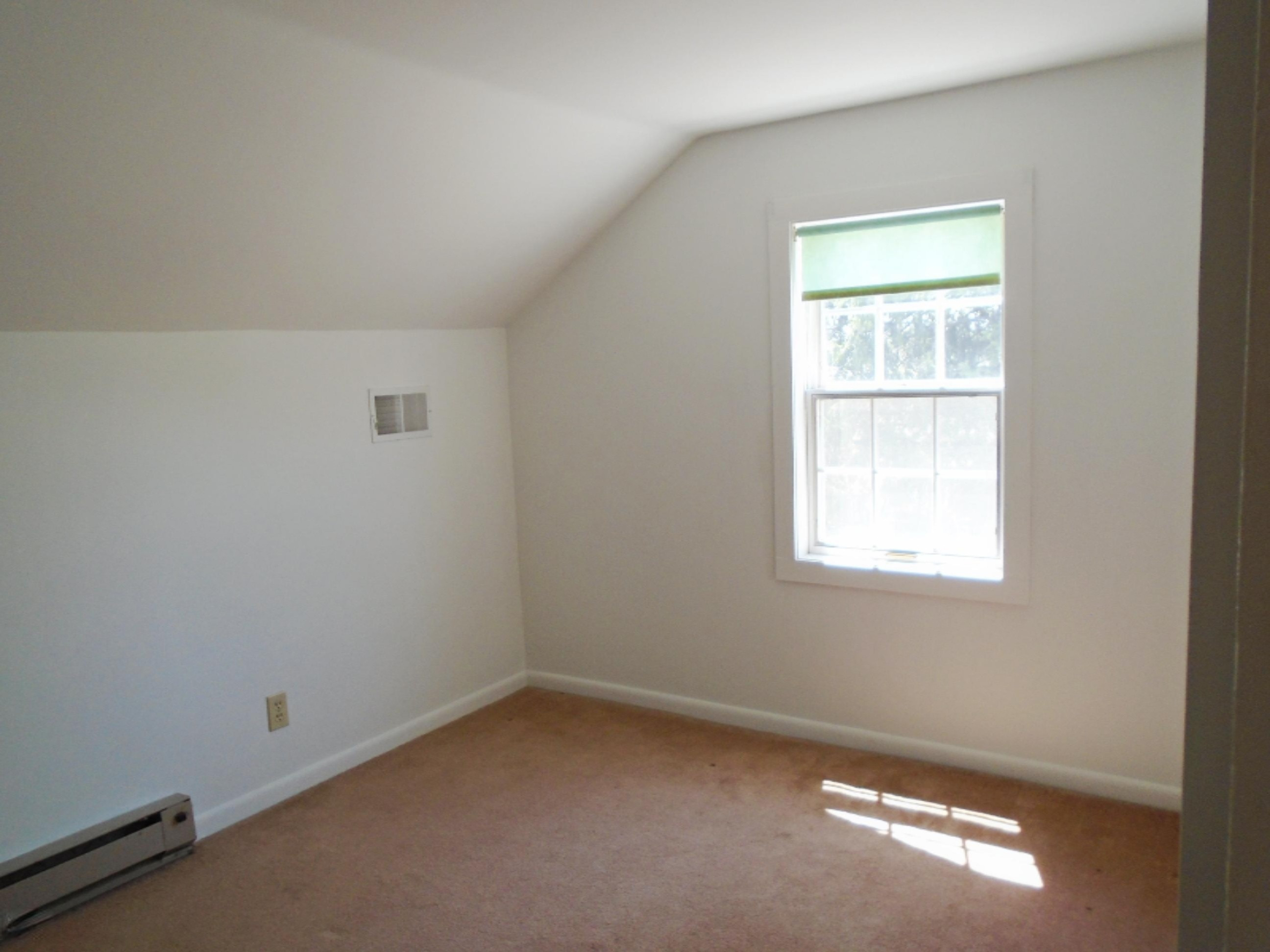 13713 Mill Road Three Oaks, MI 49128 - Photo 17 of 26 DSC00288