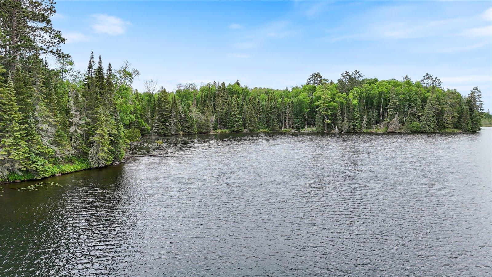 51946 North Wasson Lake Road Bigfork, MN 56628 - Photo 47 of 52