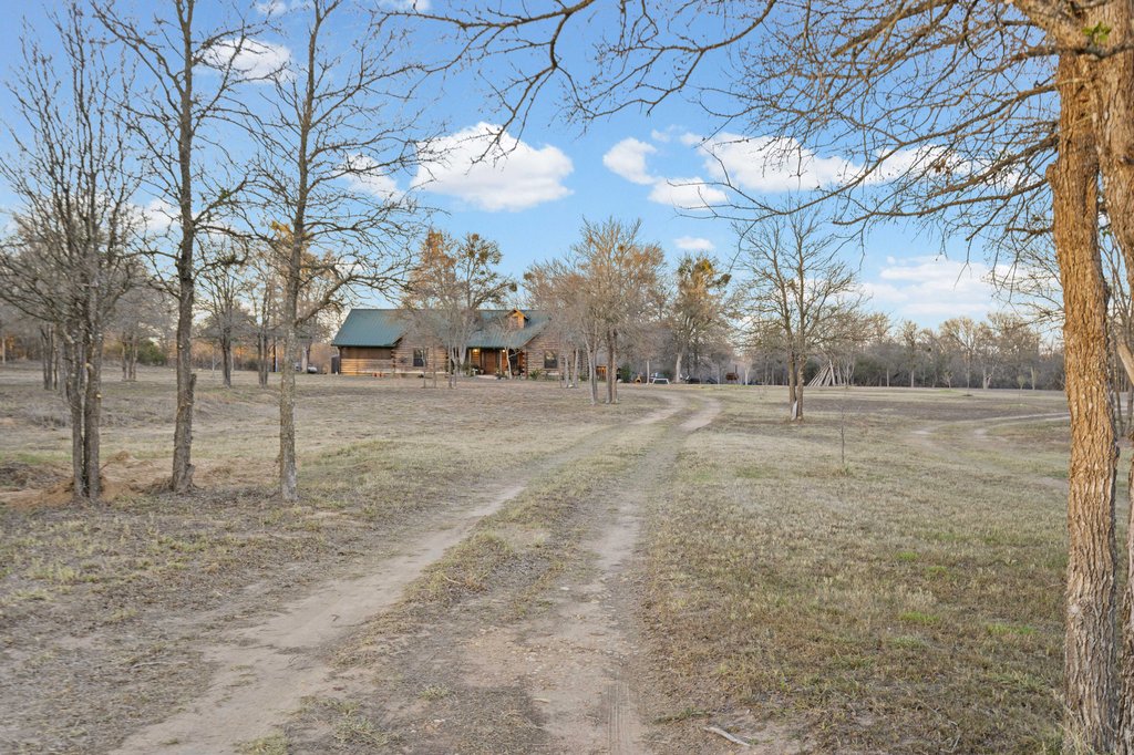 1843 Farm To Market 969 Elgin, TX 78621 - Photo 23 of 28 a view of dirt yard with a large tree