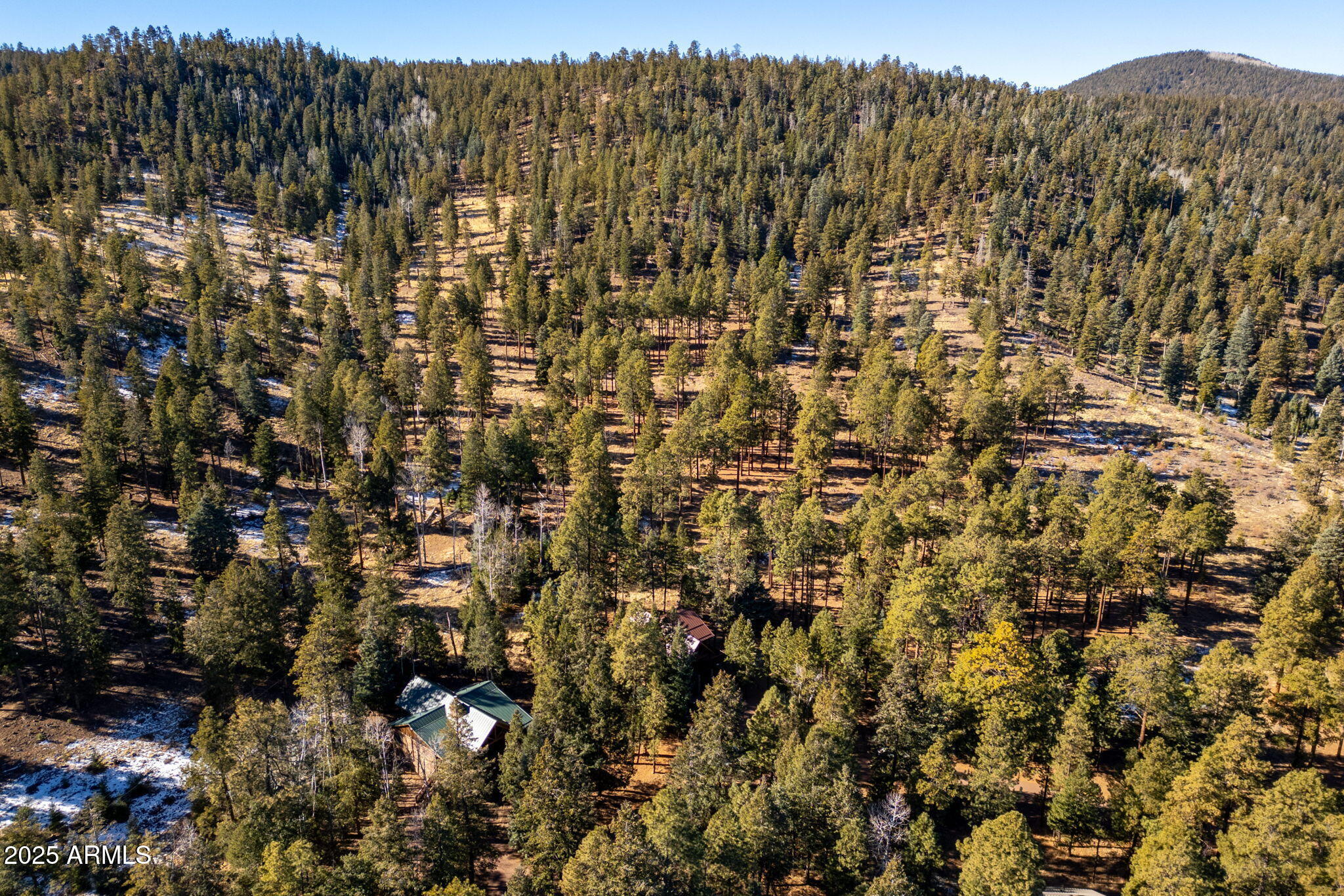 90 North 1330th Road Greer, AZ 85927 - Photo 8 of 44 a view of a city