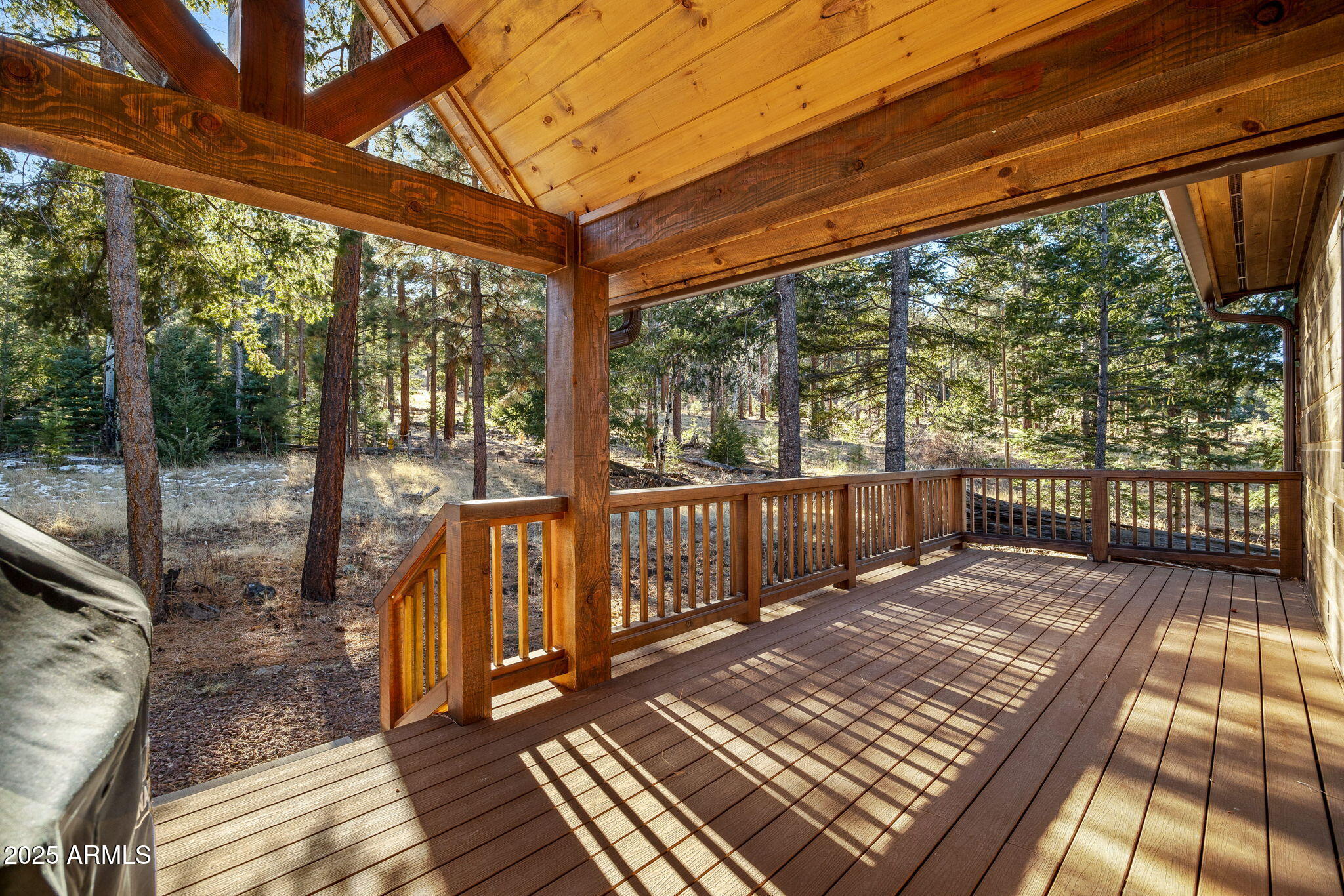90 North 1330th Road Greer, AZ 85927 - Photo 40 of 44 a view of balcony with wooden floor