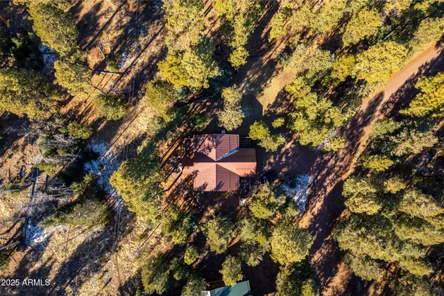 a wooden bench sitting in front of a forest