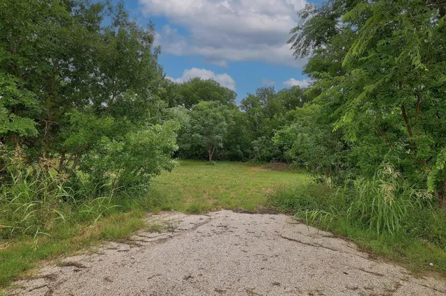 a view of a yard with a tree