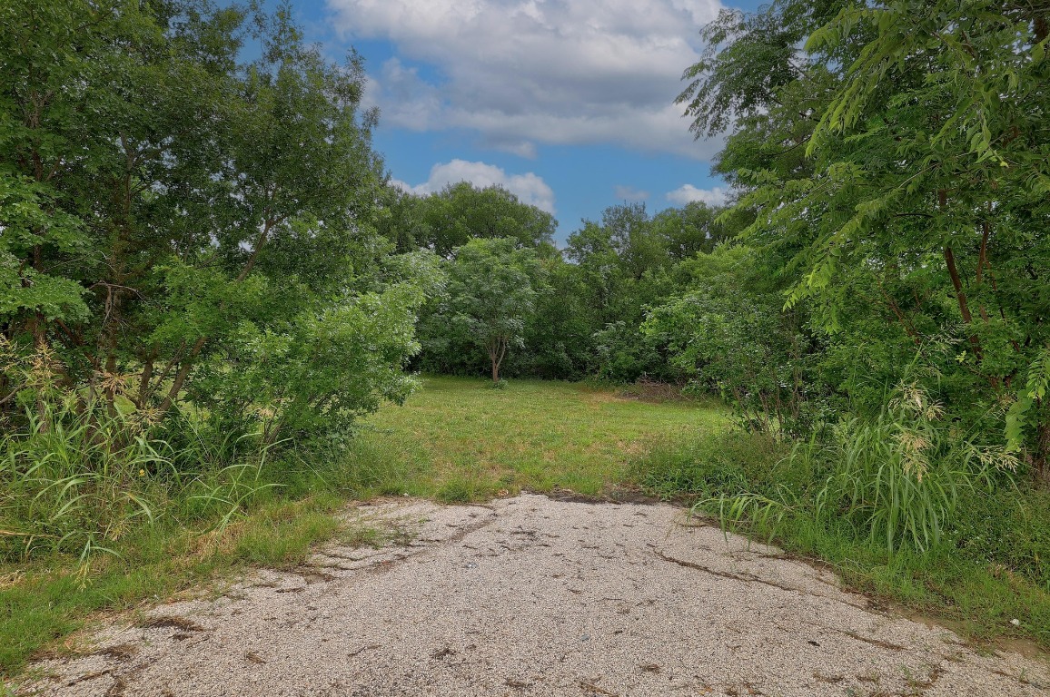 101 River Road Liberty Hill, TX 78642 - Photo 4 of 21 a view of a yard with a tree