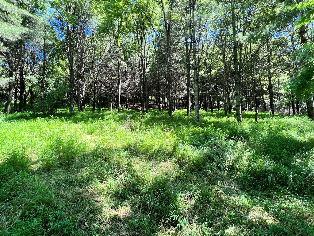 Tbd Nursery Road, Unit 8 9 10 Laurel Fork, VA 24352 - Photo 15 of 21 Gallery Image 15