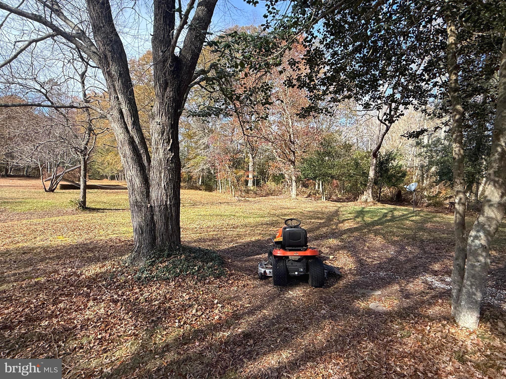 1545 East Buckshutem Road Millville, NJ 08332 - Photo 33 of 41 a view of a yard with large tree