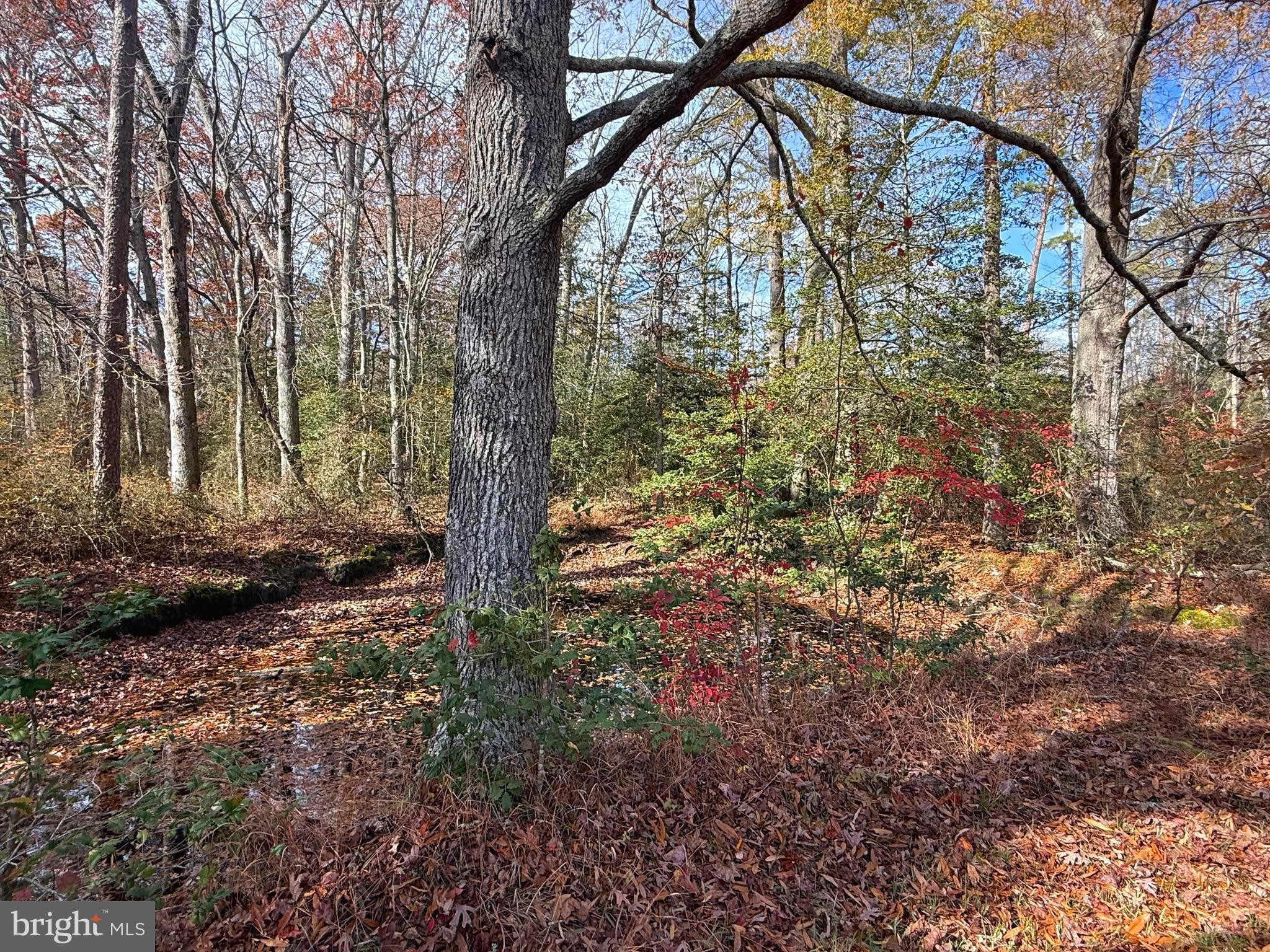 1545 East Buckshutem Road Millville, NJ 08332 - Photo 36 of 41