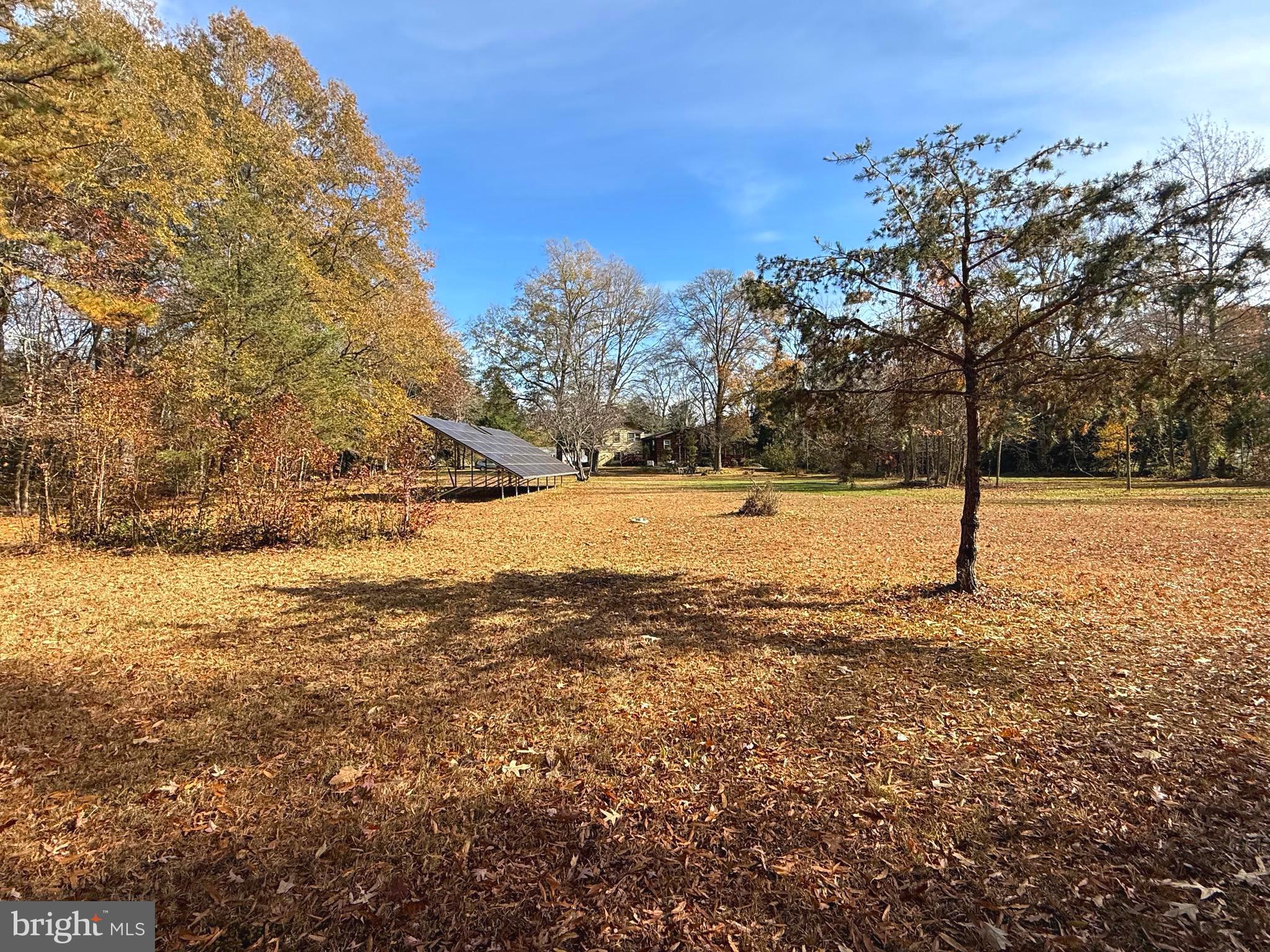 1545 East Buckshutem Road Millville, NJ 08332 - Photo 37 of 41 a view of yard with trees