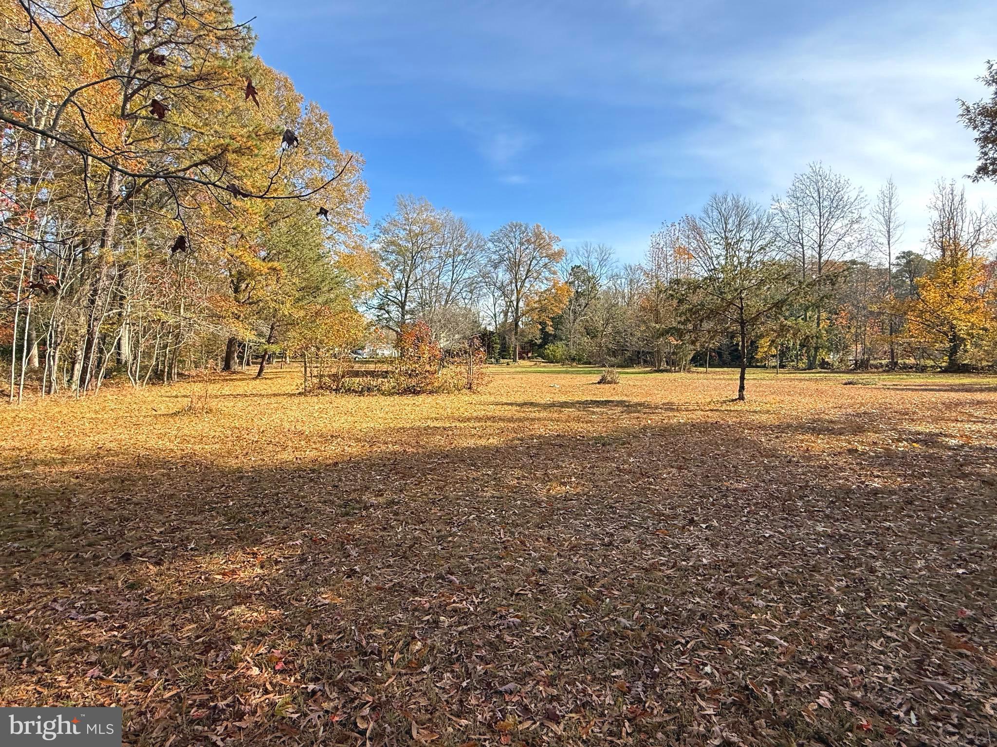1545 East Buckshutem Road Millville, NJ 08332 - Photo 38 of 41 a view of an empty space with mountain view