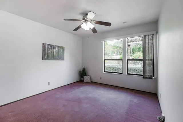 a view of a park with large trees