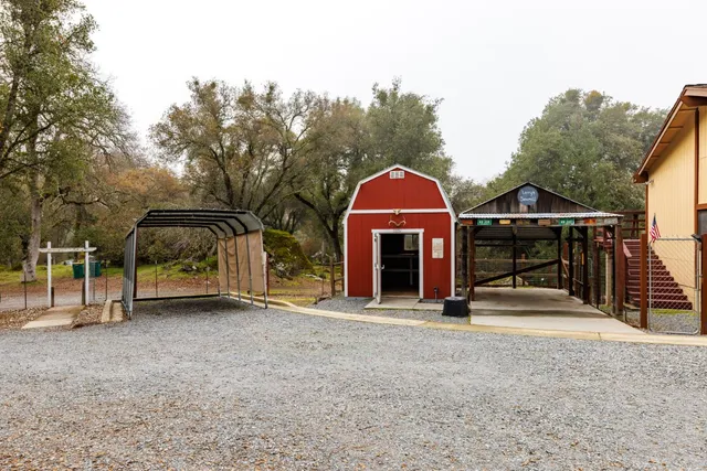 a view of a house with backyard and trees