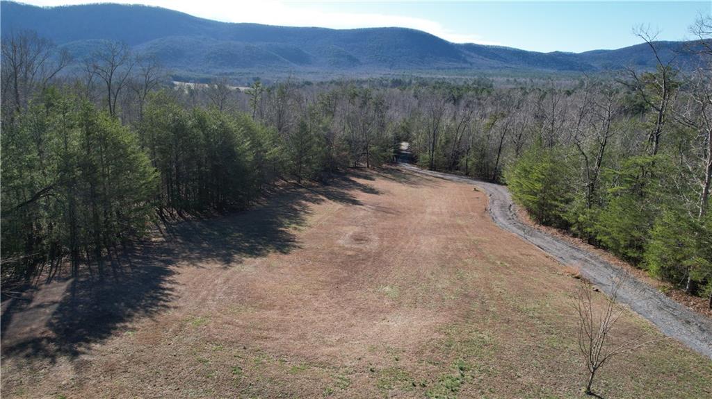 459 East Valley Road Northeast Rydal, GA 30171 - Photo 16 of 54