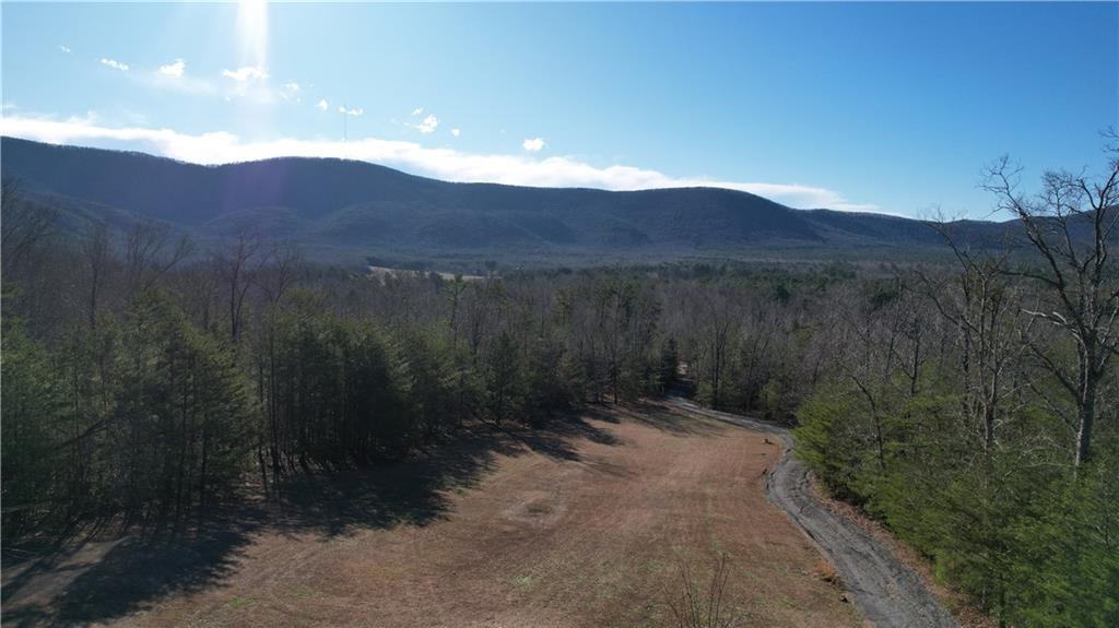 459 East Valley Road Northeast Rydal, GA 30171 - Photo 7 of 54